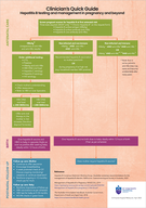 Hep b pregnancy clinician guide